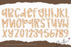 Preppy Floral Fall Lace PNG Alphabet | Sublimation Font Product Image 3