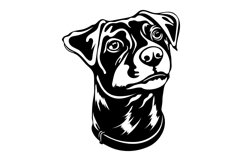 Jack-russell terrier/Dog Svg/Png/Jpg/Ai/Vector breed Product Image 2