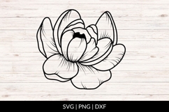 Hand Drawn Peony Flower SVG Product Image 1