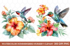 Watercolor Hummingbird Nursery Clipart, Watercolor Clipart Product Image 1