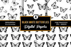 Black White Butterflies Digital Paper Product Image 1