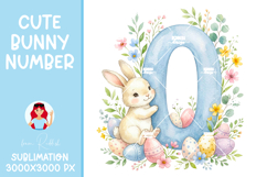 Easter Bunny Number 0 PNG,Baby Shower Sublimation Design Product Image 1
