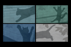 Playing Cat Shadow Overlays Product Image 1