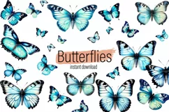 Butterfly clipart, Butterfly PNG, Butterfly painting Product Image 1