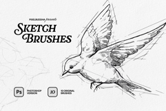 Sketch Brushes for Photoshop Product Image 1