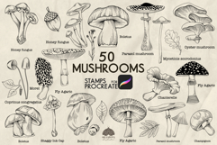 Mushrooms Procreate stamp brushes Product Image 1