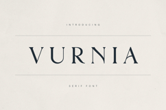 Vurnia Elegant Serif Font Product Image 1