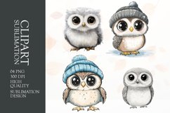 Watercolor owl clipart sublimation png Product Image 1