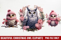 Christmas Owl Clipart, Christmas Clipart Product Image 1