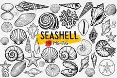 Seashell Clipart SVG PNG Product Image 1