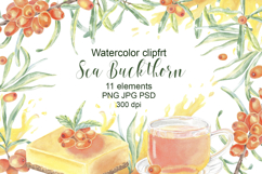 Sea Buckthorn Watercolor Clipart Hand Drawn Berries Product Image 1