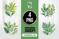 Watercolor Tropical Leaf Arrangement PNG Product Image 1