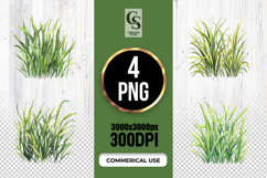 Watercolor Grass Clipart Sublimation PNG Product Image 1