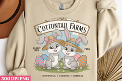 Cottontail Farms PNG, Vintage Easter Rabbit Bunn Product Image 2