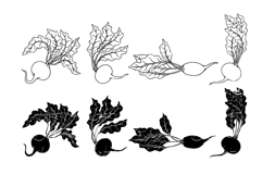 Set of beetroot silhouettes. Product Image 1