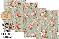 Shabby Chic, Roses, Papers, Junk Journal Product Image 1