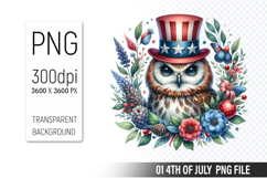 4th of July Owl Clipart PNG, Animal illustration for crafts Product Image 1