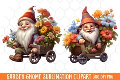 Garden Gnome Sublimation clipart Product Image 1