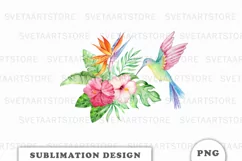 Watercolor Hummingbird Sublimation Downloads Product Image 1