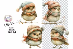 Birds, Christmas, Fall, Ephemera, PNG, watercolor, Clipart Product Image 1