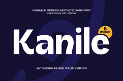 Kanile - Family Aesthetic Sans Serif Font Product Image 1