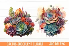 cactus clipart, watercolor cactus, succulent clipart Product Image 1