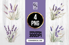 Lavender Botanical Illustration Clipart Sublimation PNG Product Image 1