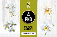 White Orchid Flower Clipart Sublimation PNG Product Image 1