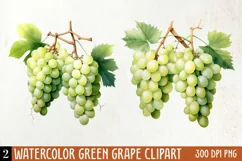 Watercolor Green Grape Clipart, Watercolor Clipart Product Image 1