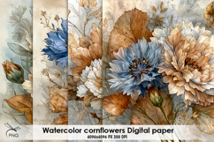 Watercolor cornflowers digital paper, background clipart Product Image 1