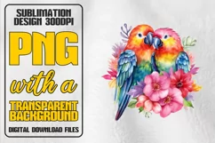 Parrot Watercolor Sublimation PNG, Paradise Png, Love PNG Product Image 1