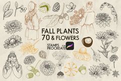 70 Fall plants and flowers Procreate stamp brush Product Image 1