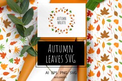 Autumn leaves SVG Product Image 1