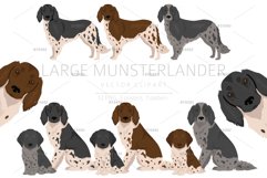 Large Munsterlander clipart Product Image 1
