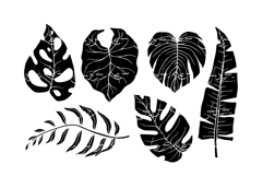 Set of silhouettes of tropical leaves. Product Image 1