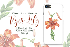 Lily Flower Watercolor Sublimation Print Lilium Illustration Product Image 1