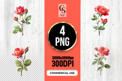 Watercolor Rose Stem Illustration Clipart Sublimation PNG Product Image 1