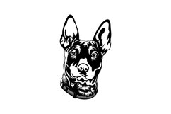 Miniature Pinscher/Dog Svg/Png/Jpg/Ai/Vector purebred breed Product Image 2