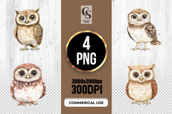 Watercolor Cute Owl Illustration Clipart Sublimation PNG Product Image 1