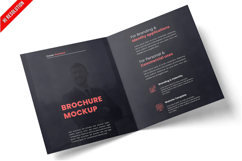 Open Brochure Product Image 1