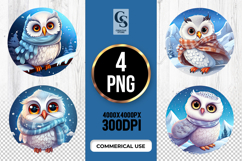 Winter Owl Clipart Sublimation PNG Product Image 1