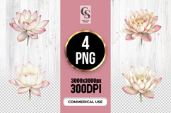 Pink Lotus Flower Botanical Illustration Clipart PNG Product Image 1