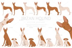 Ibizan hound clipart Product Image 1