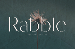 Rabble Delicate Elegant Serif Font Product Image 1