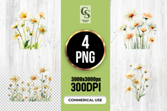 Watercolor Daisy Flowers Clipart Sublimation PNG Product Image 1
