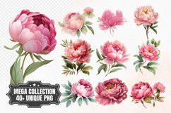 Watercolor Pink Peony Clipart Product Image 1