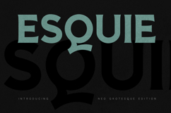 Esquie Sans Serif Bold Neo Grotesque Display Typeface Product Image 1