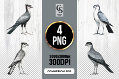 Watercolor Secretary Bird Illustration Clipart PNG Product Image 1