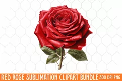Watercolor Red Roses Clipart, Red Rose Png Clip Art Product Image 1