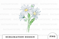 Watercolor Daisy Flowers Bouquet png Product Image 1